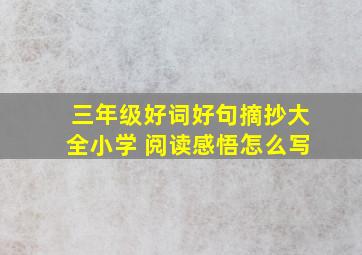 三年级好词好句摘抄大全小学 阅读感悟怎么写